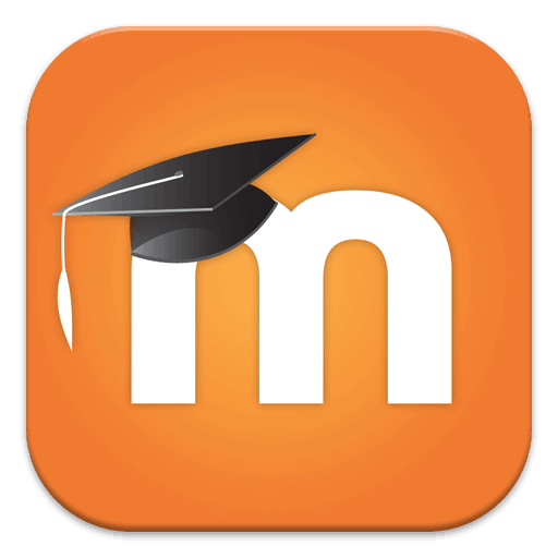 Essay writing services